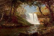 Albert Bierstadt Minnehaha Falls china oil painting artist